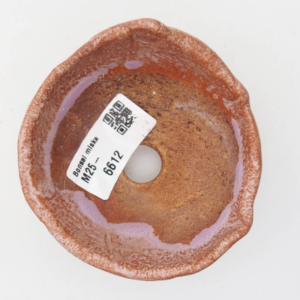 Ceramiczna skorupa 9 x 8,5 x 6,5 cm, kolor fioletowy