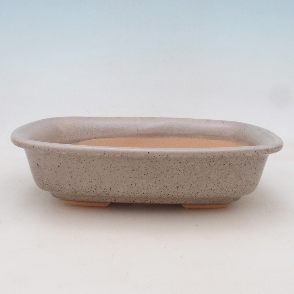 Miska bonsai + spodek H02 - beżowy