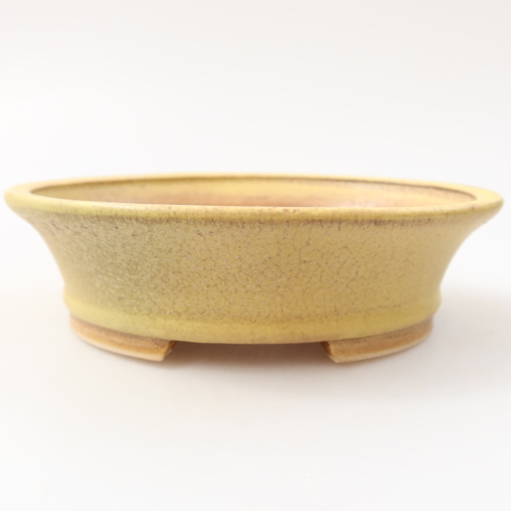 Ceramiczna miska do bonsai 14,5 x 12,5 x 4 cm, kolor żółty