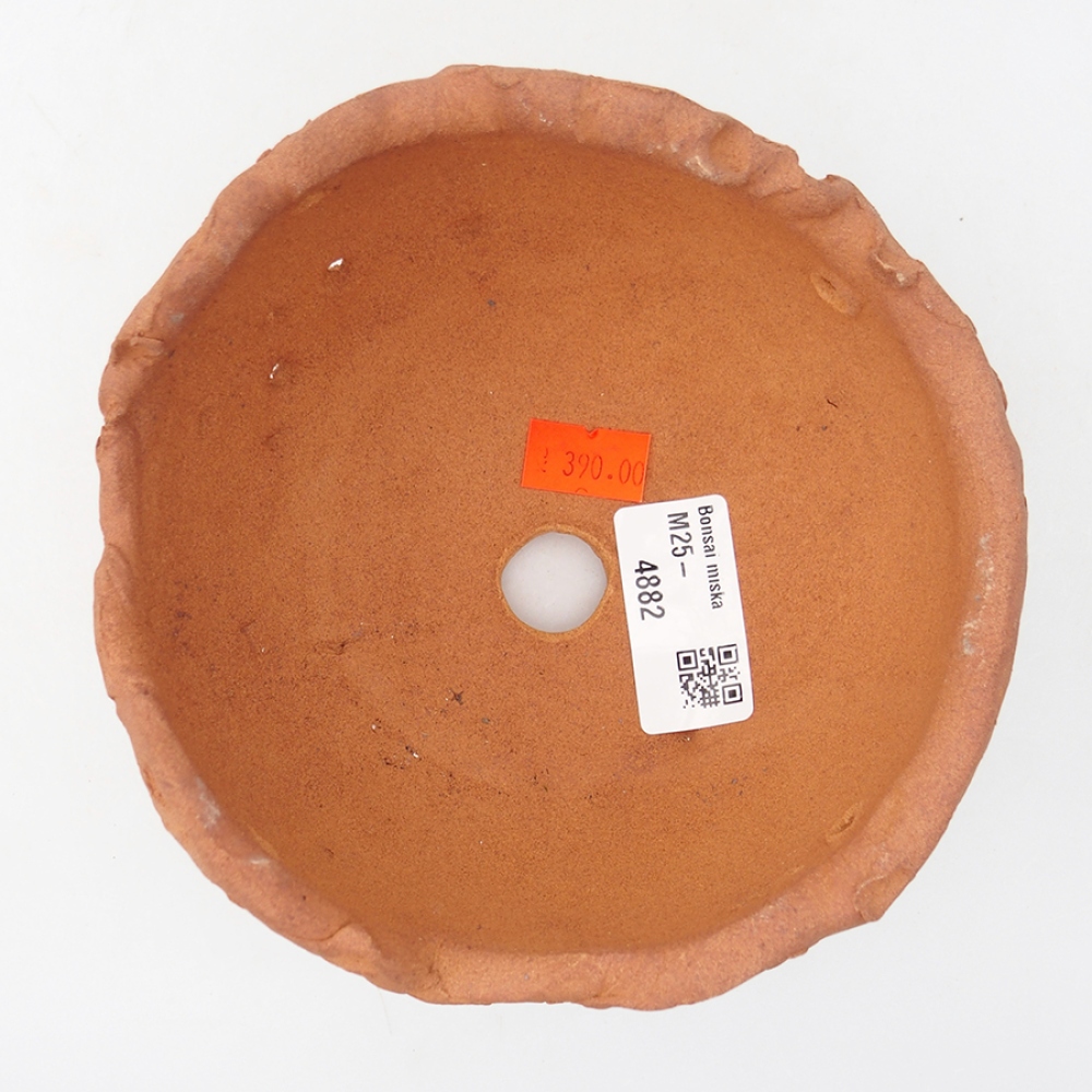 Muszla ceramiczna 13 x 14 x 9,5 cm, kolor brązowy