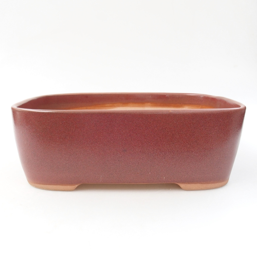 Ceramiczna miska bonsai 23 x 18 x 7,5 cm, kolor bordowy