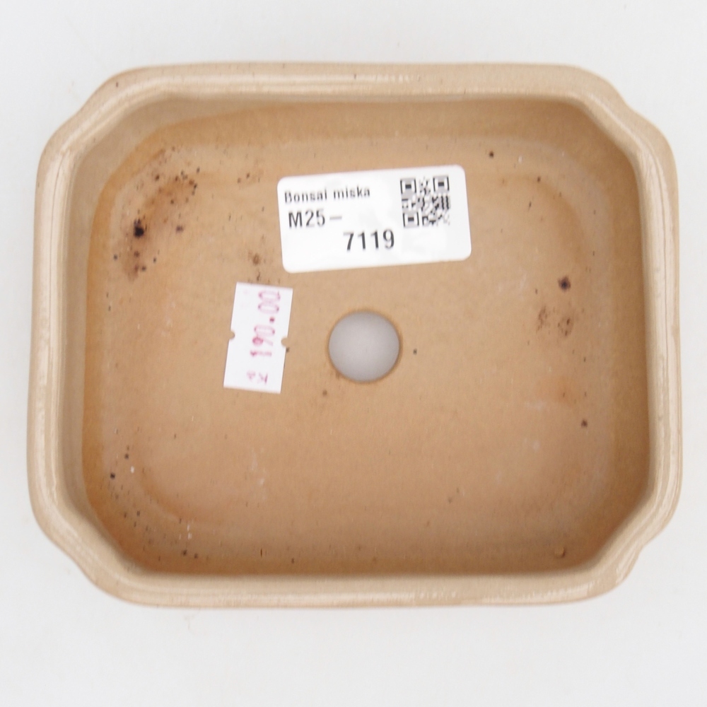 Ceramiczna miska do bonsai 12 x 10 x 4 cm, kolor beżowy