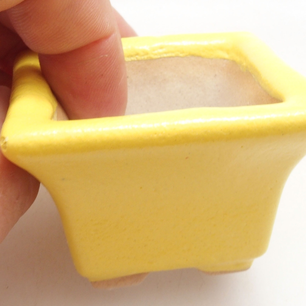 Ceramiczna miska bonsai 5 x 5 x 3,5 cm, żółta