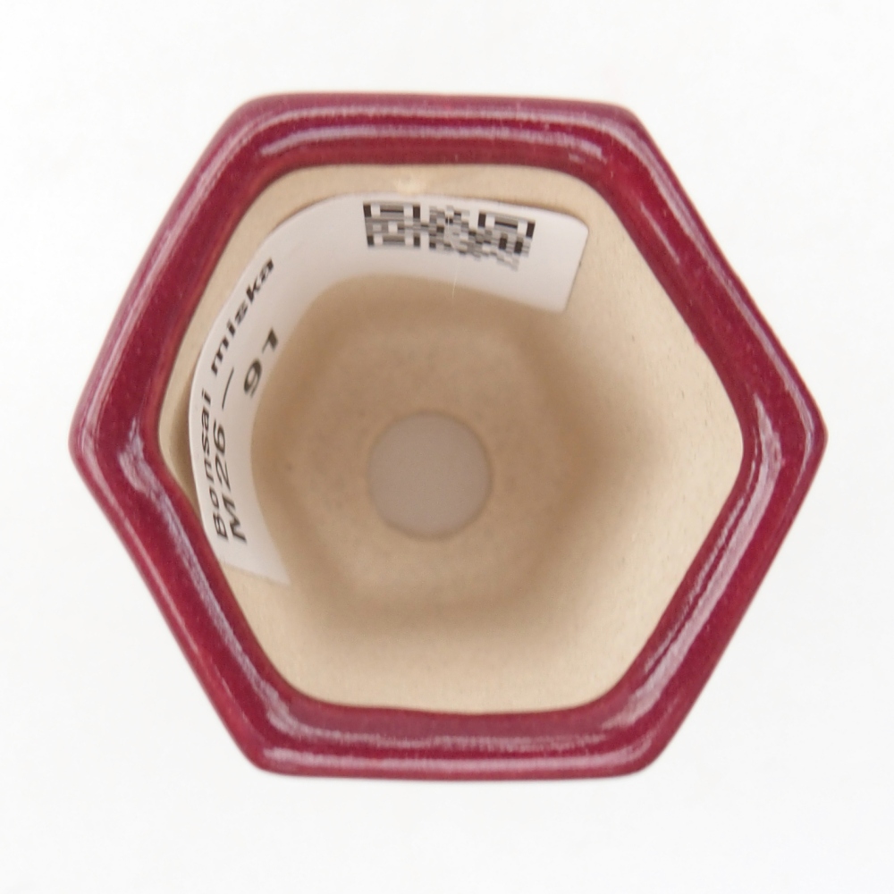 Mini miska do bonsai 4 x 3,5 x 5,5 cm, bordowa