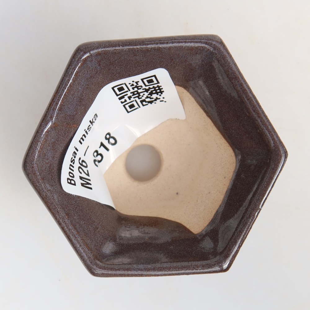 Ceramiczna miseczka do bonsai, 5,5 x 5 x 3 cm, kolor szary