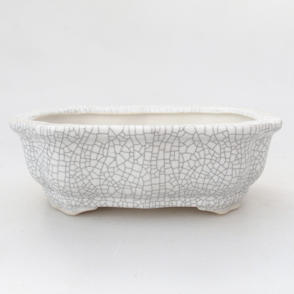 Miska 26 x 21 x 6,5 cm niebiesko-zielona