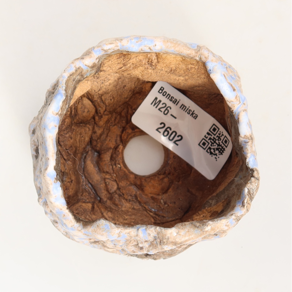 Ceramiczna skorupa  7 x 7 x 6 cm, kolor niebiesko-brązowy