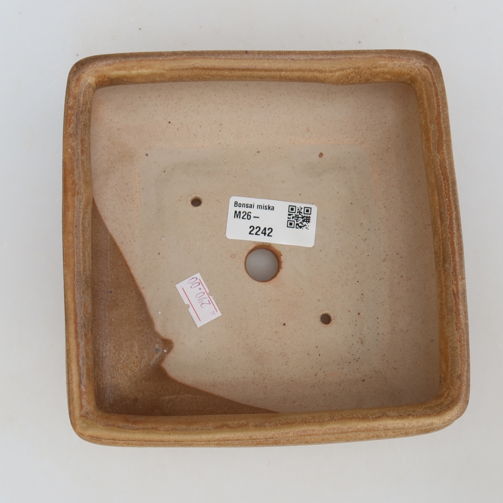 Ceramiczna miska do bonsai 15,5 x 15,5 x 6 cm, kolor beżowy