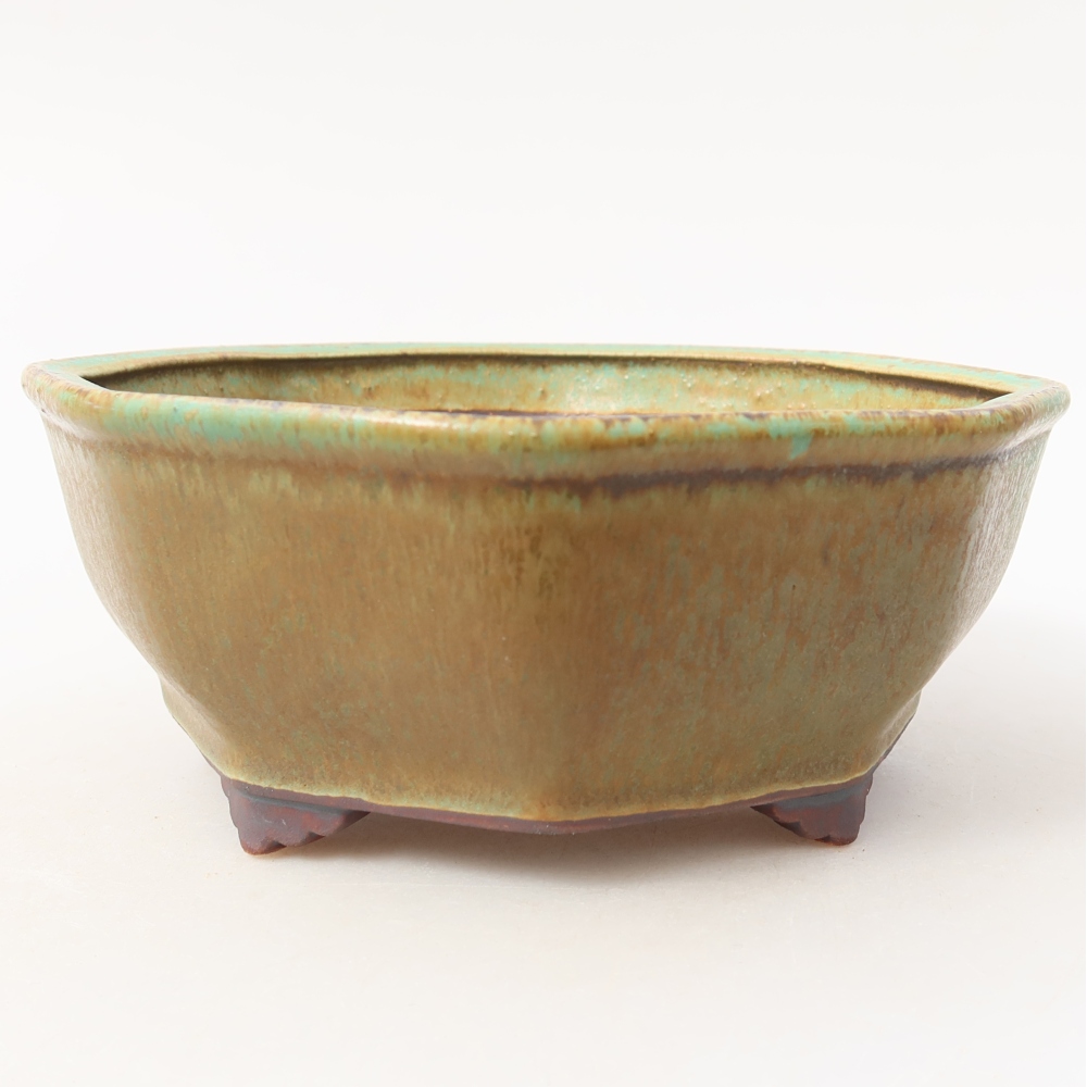 Ceramiczna miska do bonsai 17 x 16 x 6,5 cm, kolor zielony