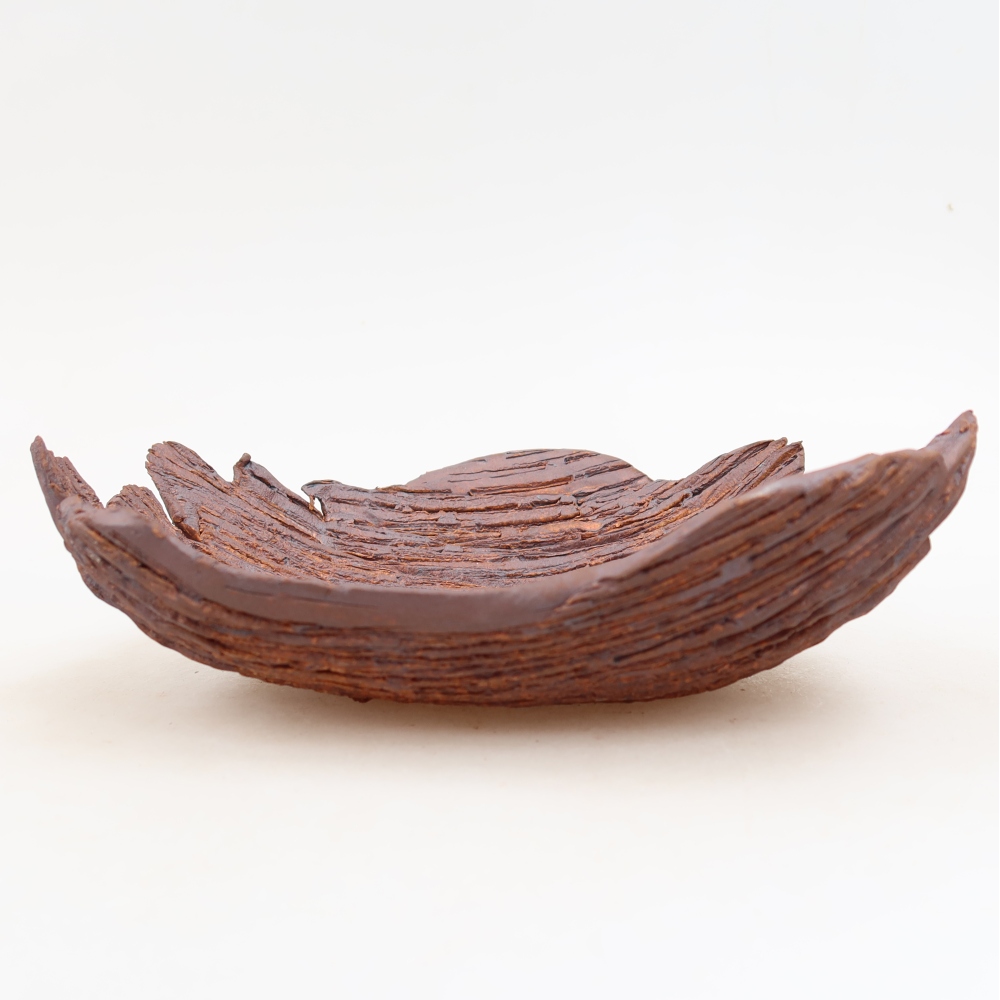 Ceramiczna skorupa  20 x 15,5 x 6 cm, kolor brązowy