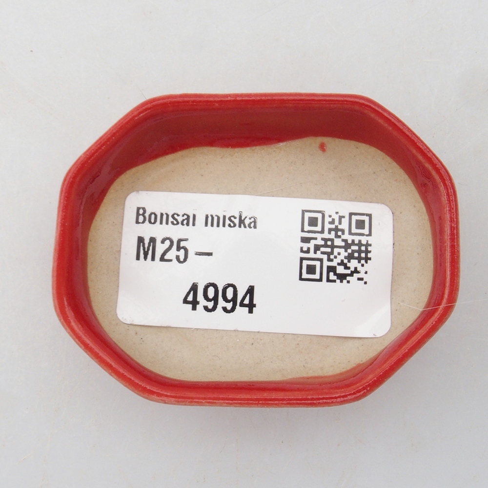 Mini miska bonsai 5,5 x 4 x 1,5 cm, kolor czerwony