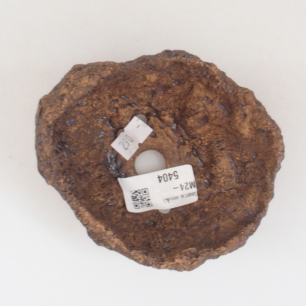 Muszla ceramiczna 10 x 8 x 10 cm, kolor brązowy