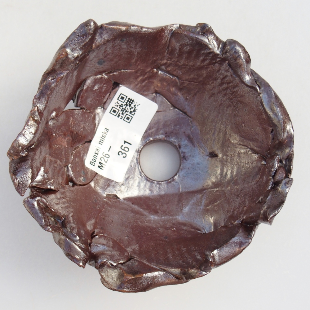 Ceramiczna muszla 10 x 10,5 x 5,5 cm, kolor brązowy