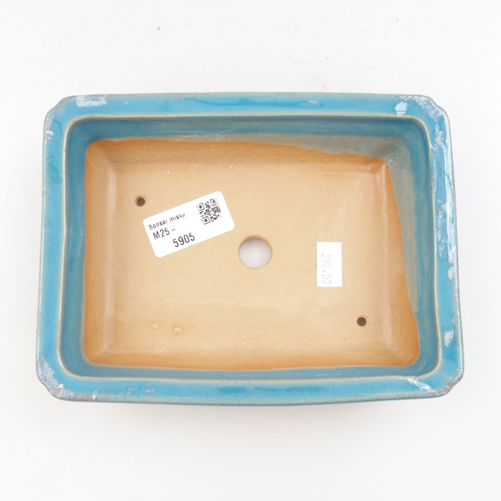 Ceramiczna miska bonsai 18 x 13,5 x 4,5 cm, kolor niebieski