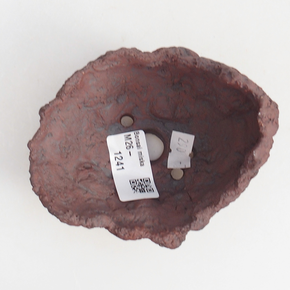 Muszla ceramiczna 10 x 8 x 8,5 cm, kolor brązowy