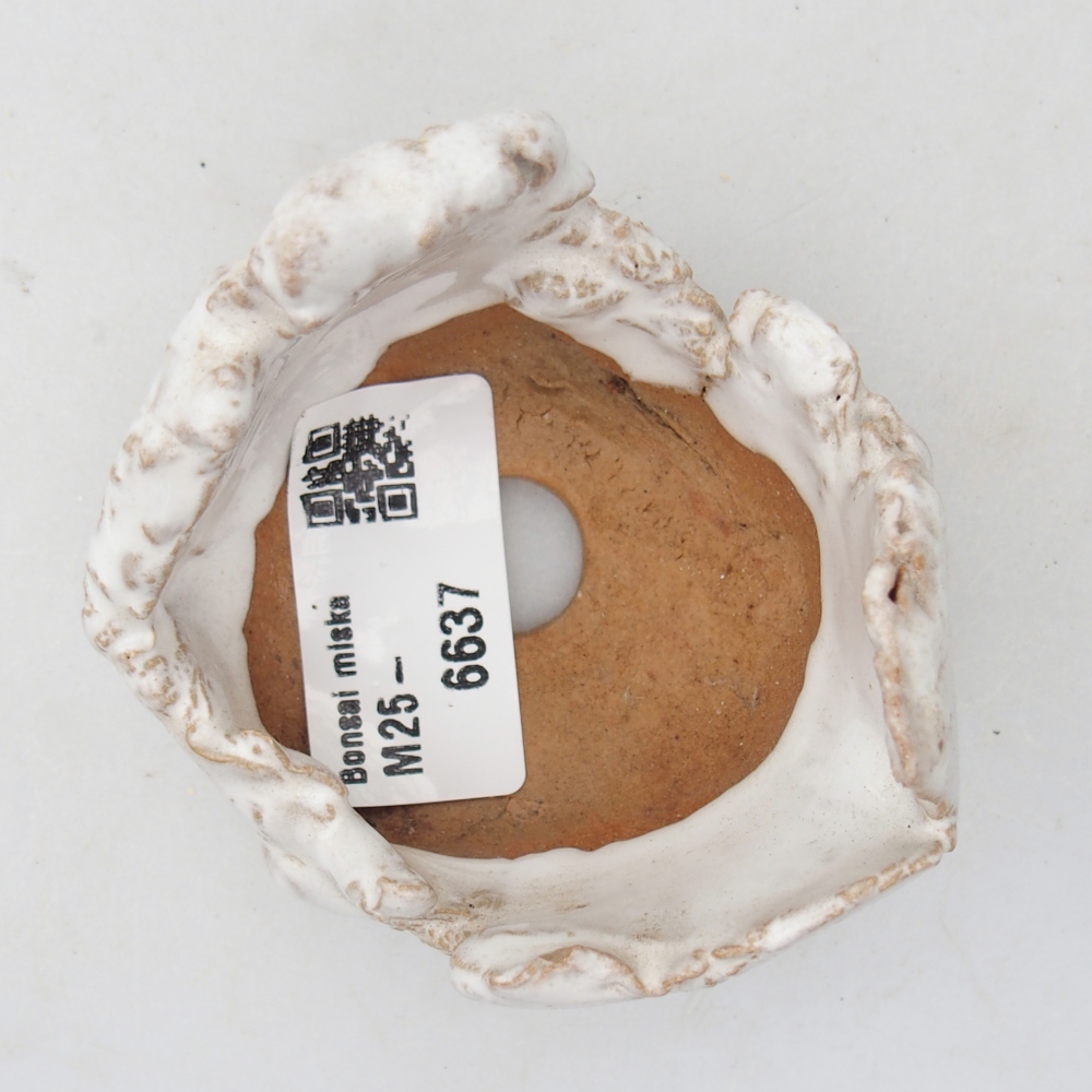 Muszla ceramiczna 7 x 6,5 x 5 cm, kolor biały