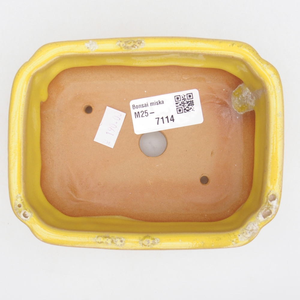 Ceramiczna miska na bonsai 14 x 11 x 4 cm, żółta