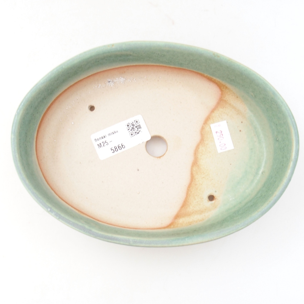 Ceramiczna miska bonsai 18,5 x 13,5 x 4,5 cm, kolor zielony