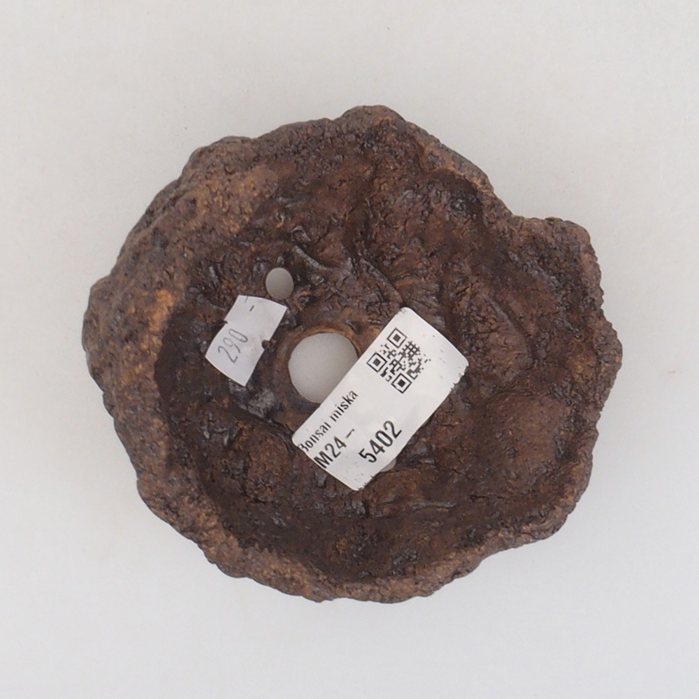 Muszla ceramiczna 9 x 8 x 9,5 cm, kolor brązowy
