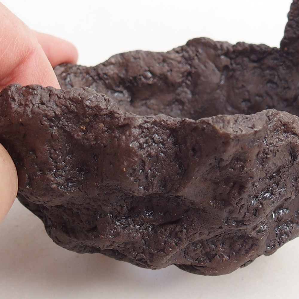 Muszla ceramiczna 10 x 9 x 7,5 cm, kolor brązowy