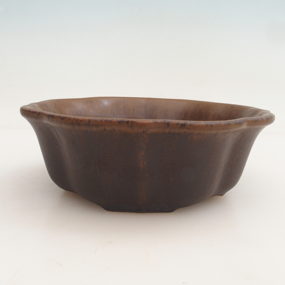 Bonsai bowl H16 - 14,5 x 14,5 x 5 cm. - brązowy