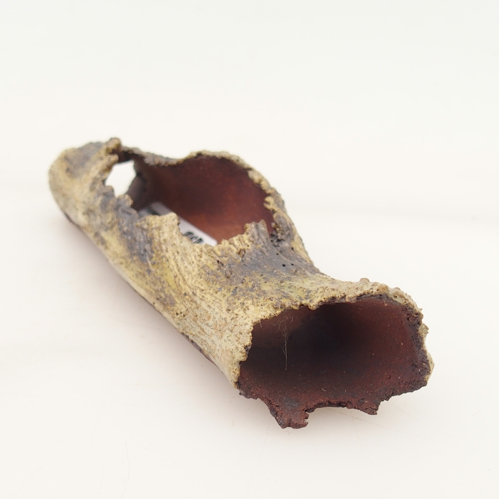 Ceramiczna skorupa 15 x 4,5 x 3 cm, żółta