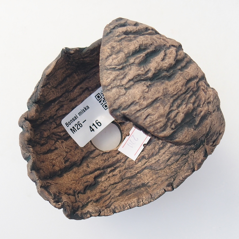 Ceramiczna muszla 10 x 9,5 x 10 cm, kolor brązowy