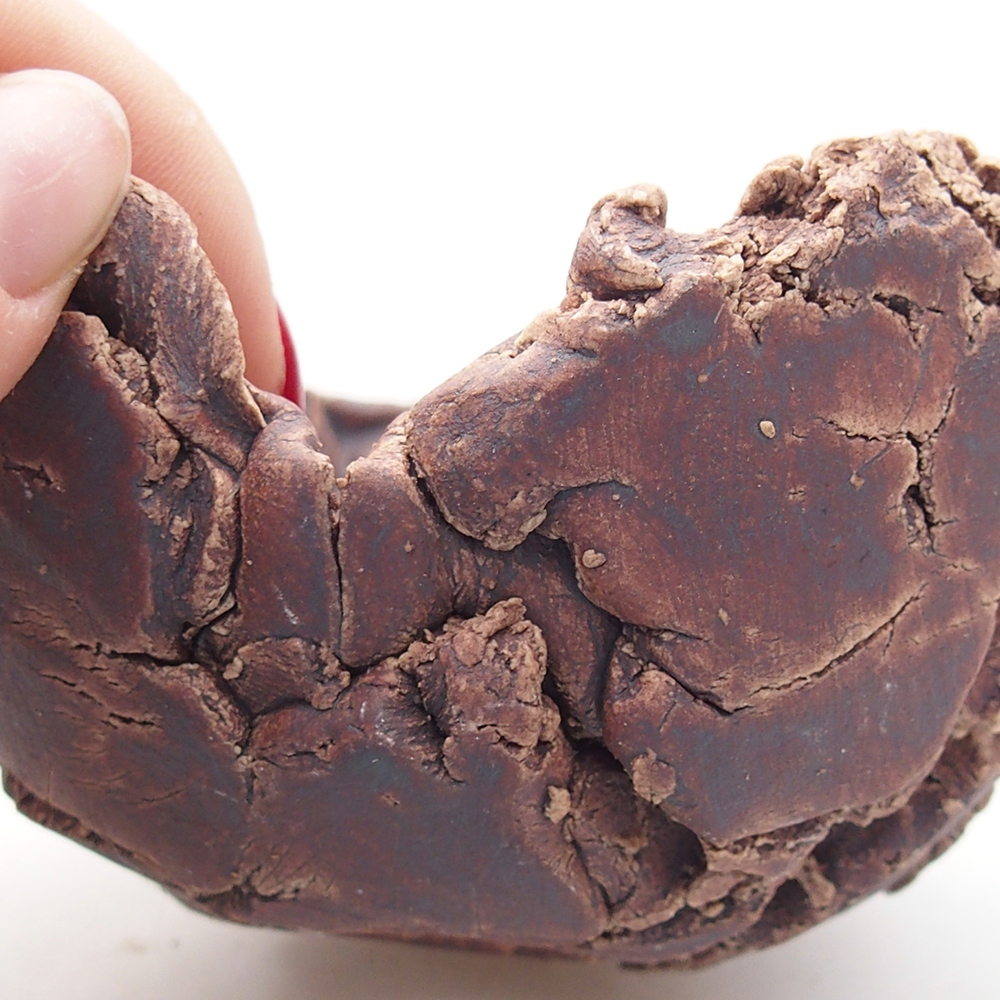 Muszla ceramiczna 10 x 9,5 x 6 cm, kolor brązowy