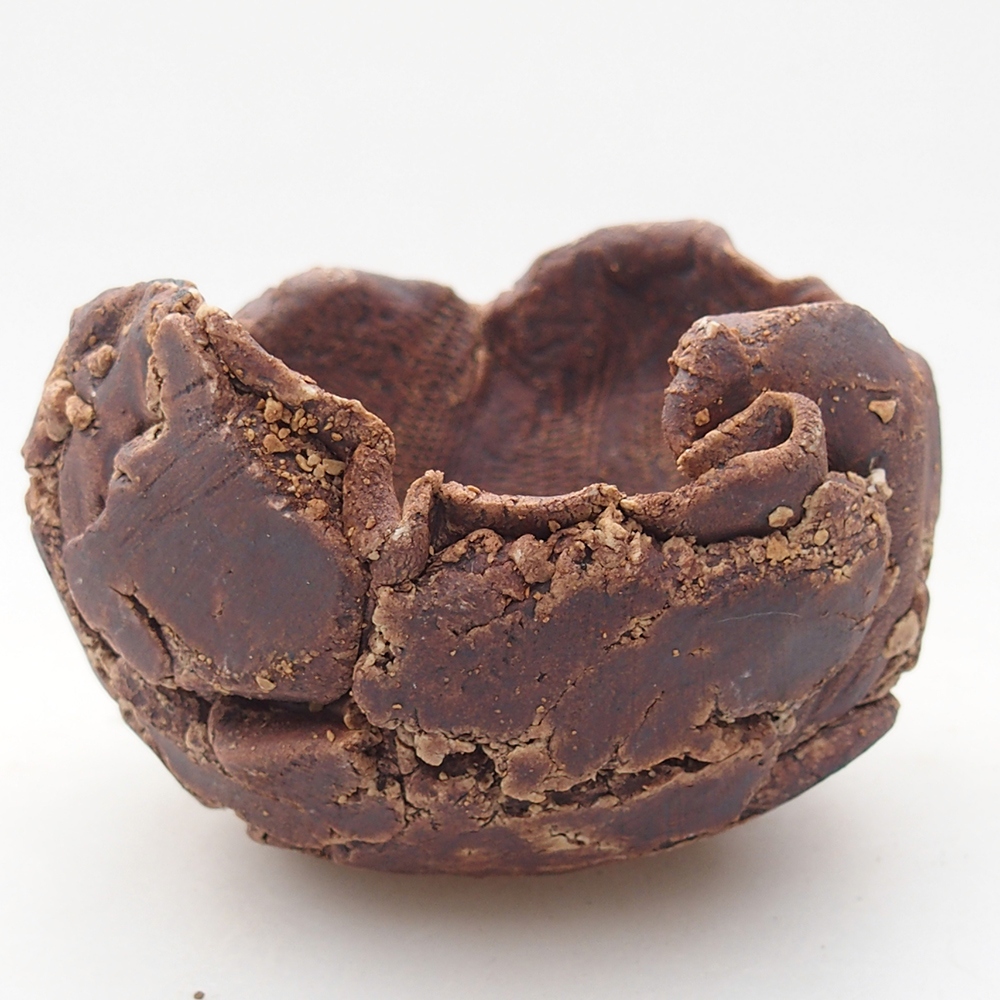 Muszla ceramiczna 9 x 8,5 x 6,5 cm, kolor brązowy
