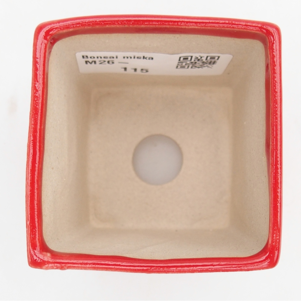 Mini miska do bonsai 5,5 x 5,5 x 6,5 cm, kolor czerwony