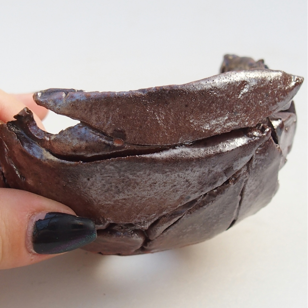 Muszla ceramiczna 10 x 10 x 6 cm, kolor brązowy