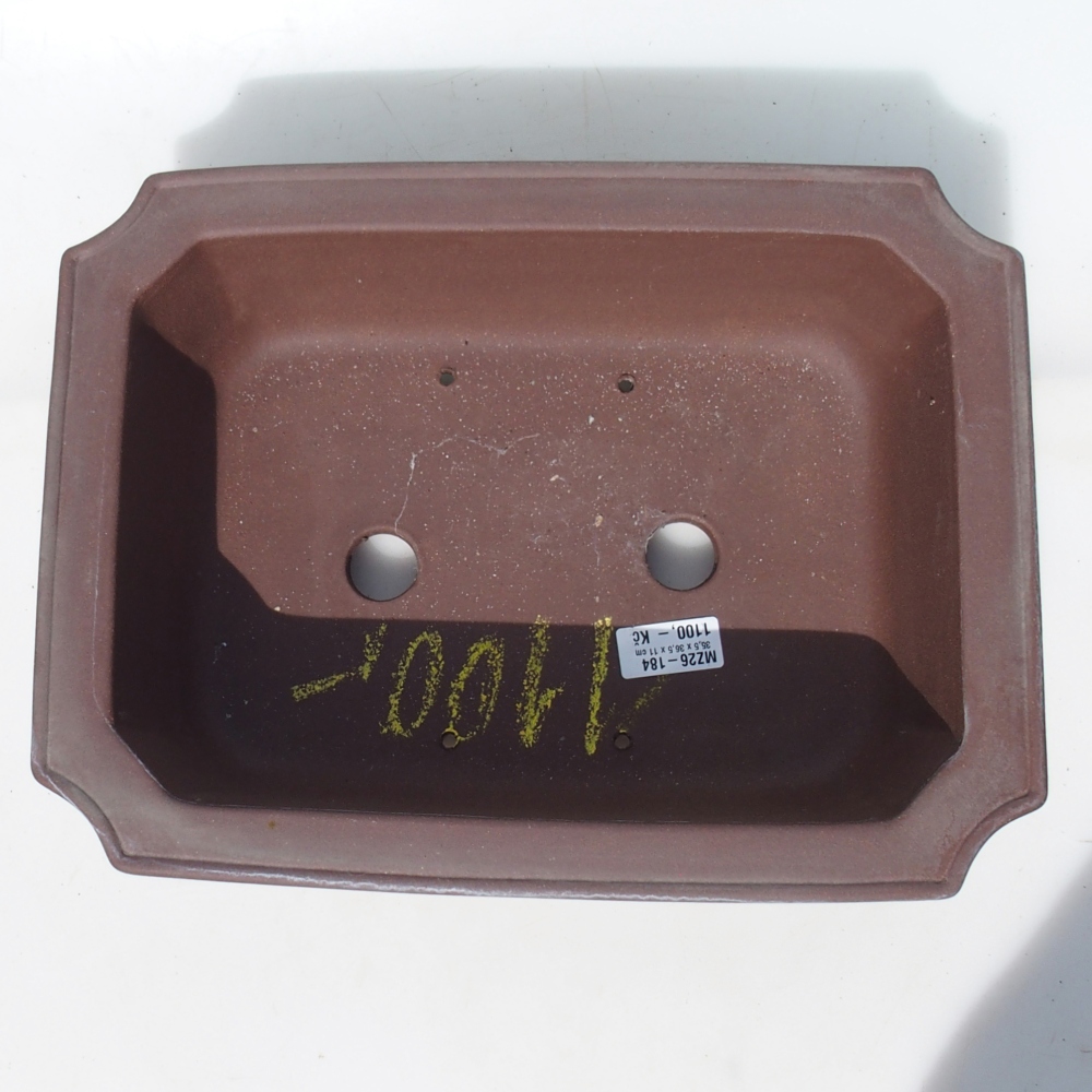 Misa bonsai 35,5 x 36,5 x 11 cm brzoza brązowa