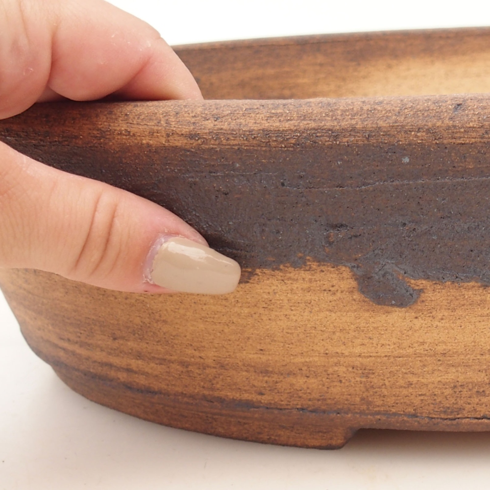 Misa do bonsai 33 x 25 x 8,5 cm, kolor brązowy
