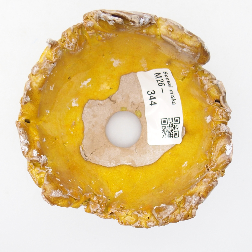 Ceramiczna muszla 9,5 x 9,5 x 6,5 cm, żółta