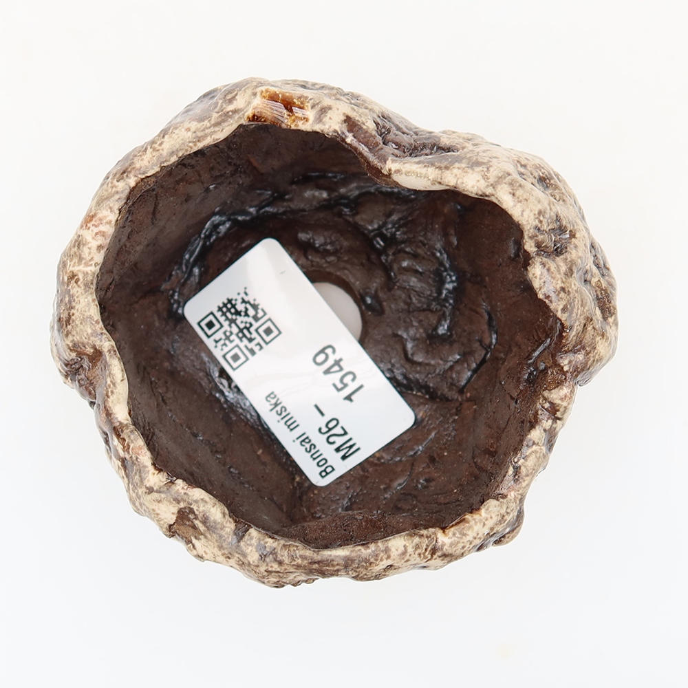 Ceramiczna skorupka  6,5 x 5,5 x 6 cm, kolor brązowo-biały