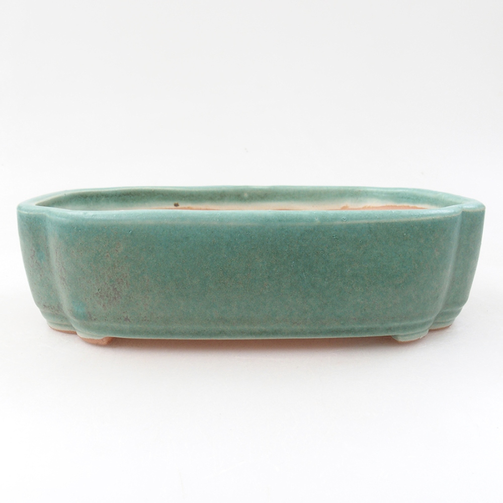Ceramiczna miska bonsai 18 x 13 x 5 cm, kolor zielony