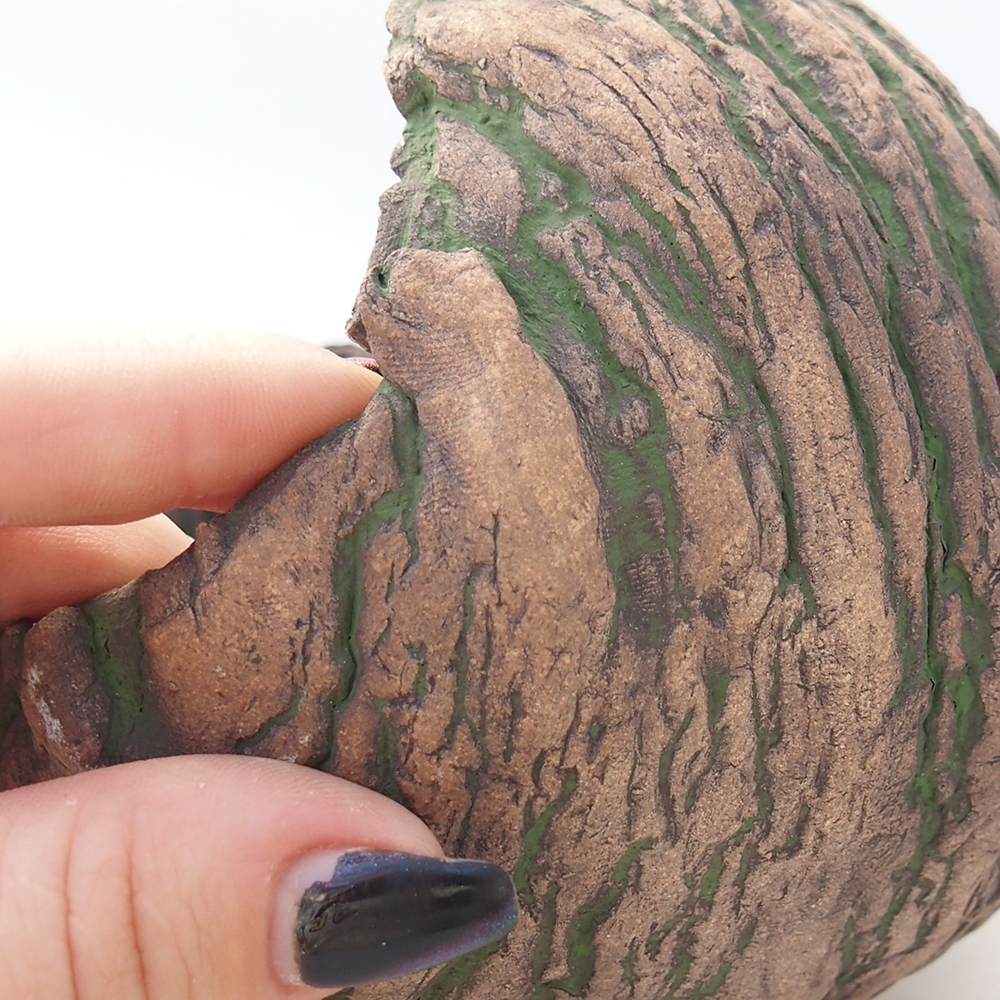 Ceramiczna muszla 13 x 13 x 12 cm, kolor zielony