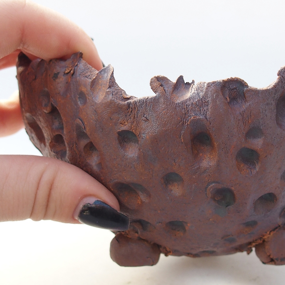 Ceramiczna muszla 13 x 12,5 x 8,5 cm, kolor brązowy