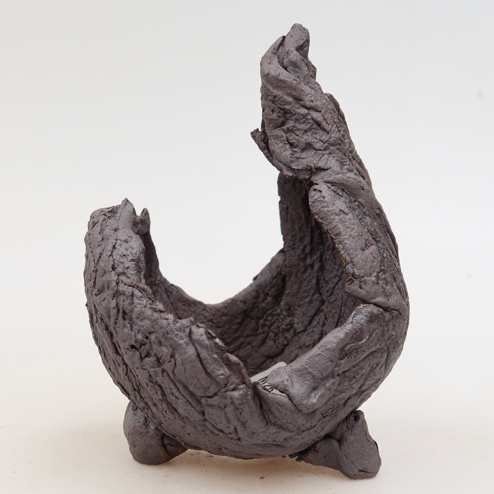 Ceramiczna skorupa  8 x 8 x 13 cm, kolor brązowy