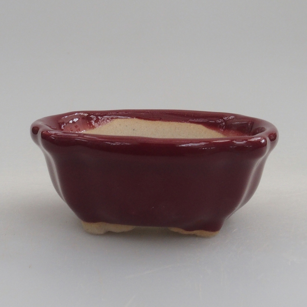 Mini miska bonsai 6 x 6 x 2,5 cm, kolor bordowy