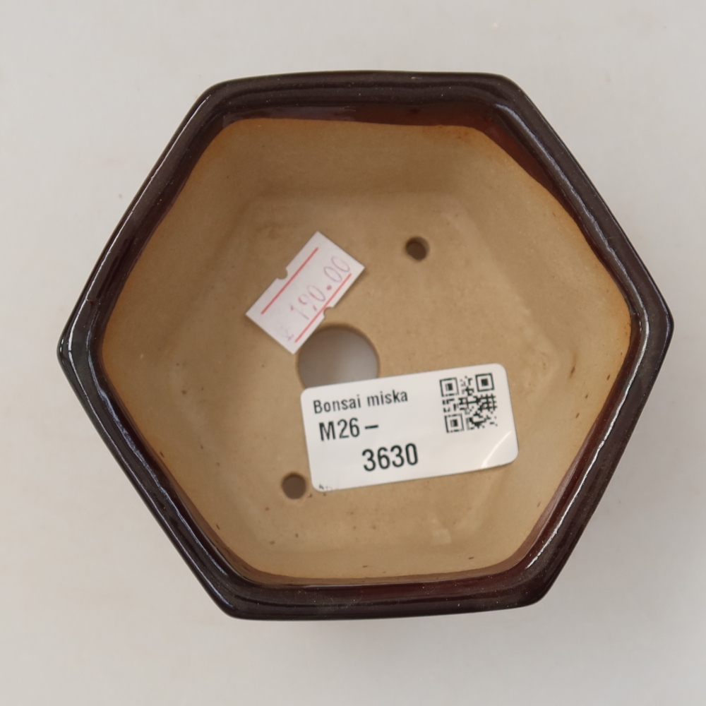 Ceramiczna miska do bonsai 10 x 9 x 5 cm, brązowa