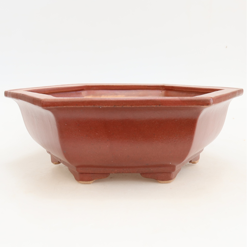 Ceramiczna miska do bonsai 28 x 24,5 x 9 cm, kolor bordowy