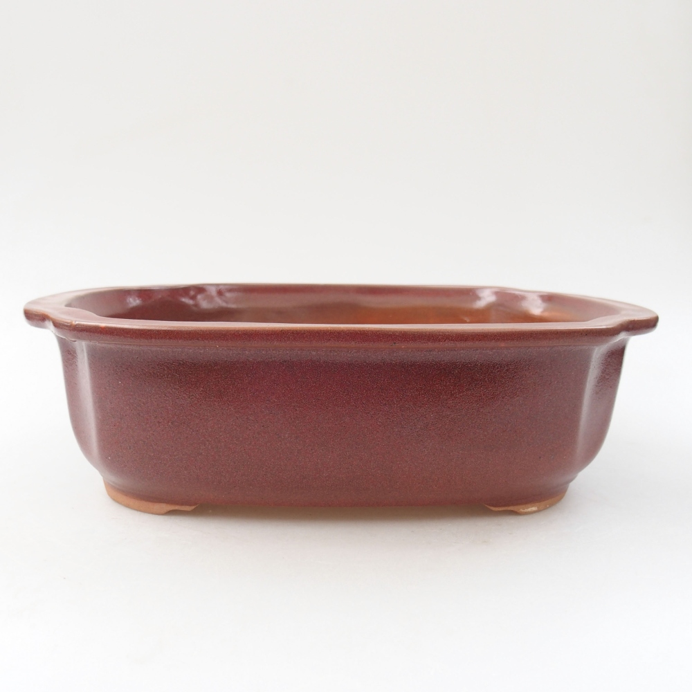 Ceramiczna miska bonsai 24,5 x 21 x 7 cm, kolor bordowy