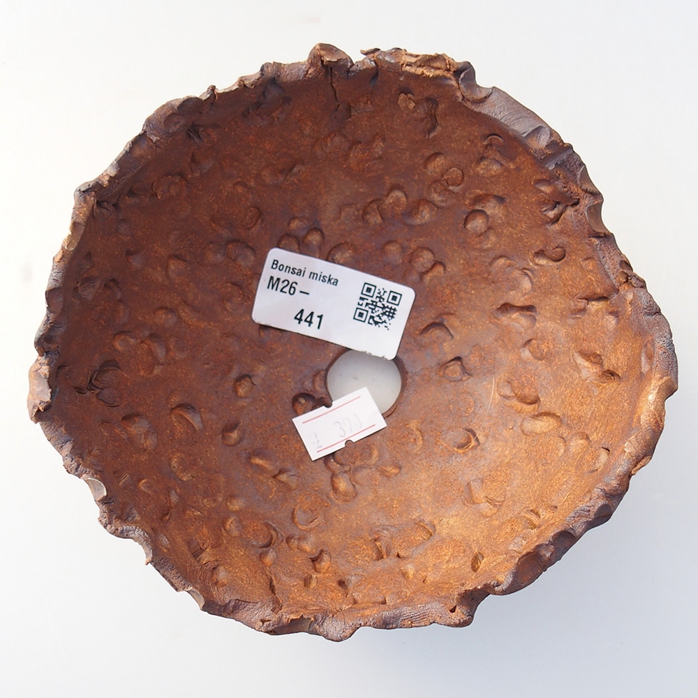 Ceramiczna muszla 13 x 12,5 x 8,5 cm, kolor brązowy