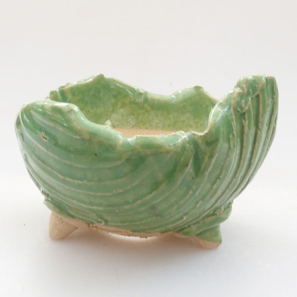 Muszla ceramiczna 7 x 7 x 5,5 cm, kolor zielony