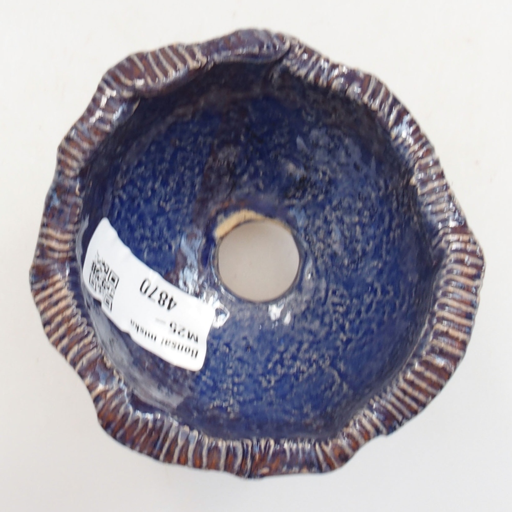 Muszla ceramiczna 8 x 7 x 5,5 cm, kolor niebieski