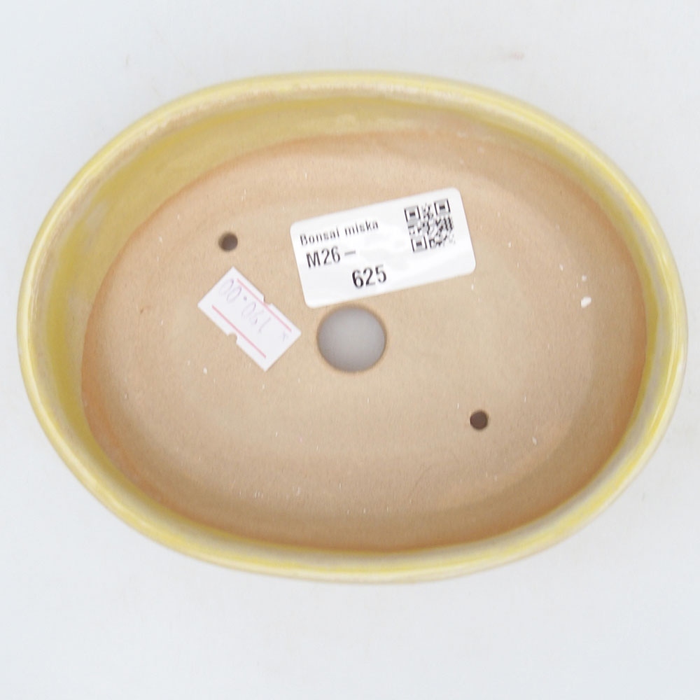 Ceramiczna miska do bonsai 13,5 x 10,5 x 4 cm, żółta