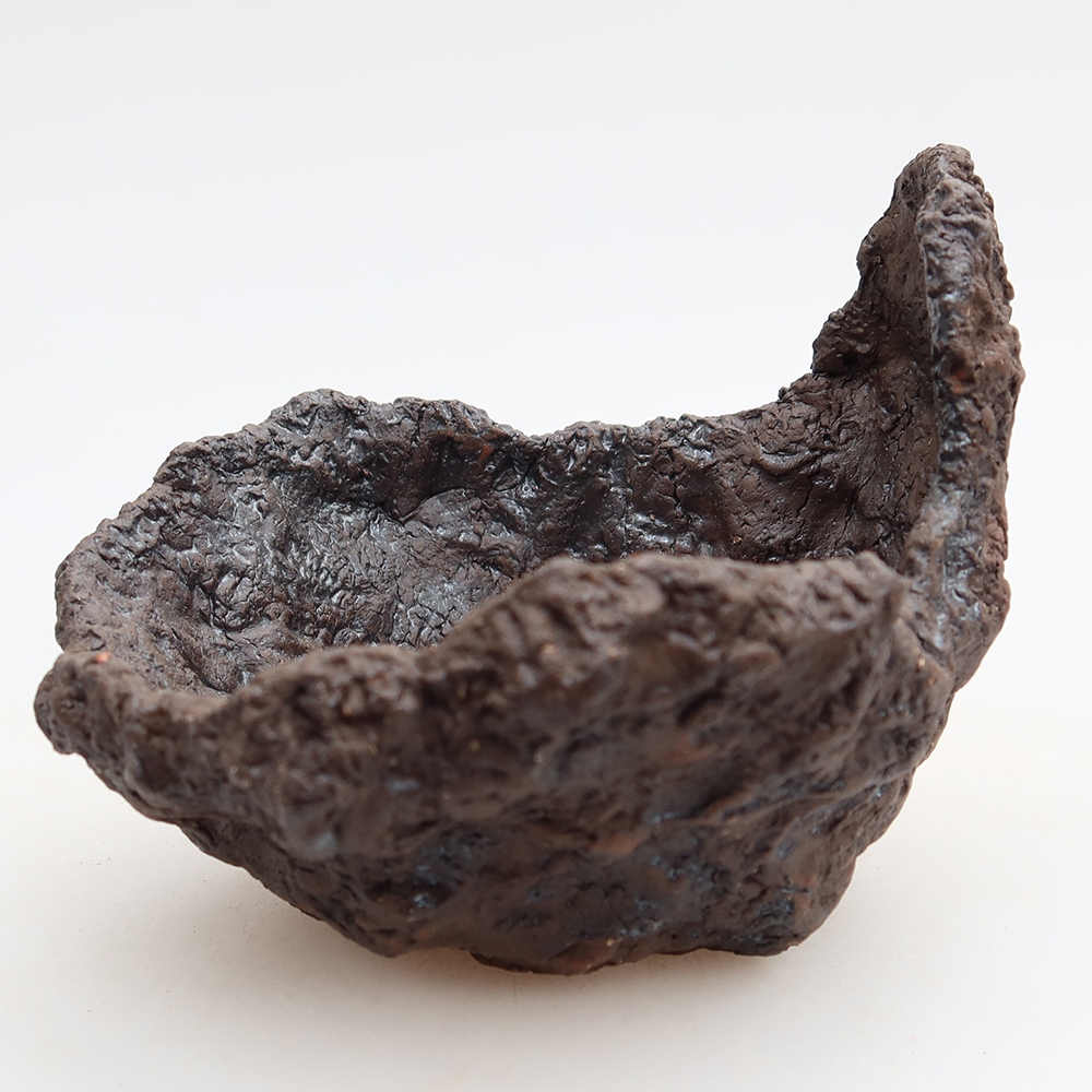 Ceramiczna skorupa 9,5 x 8,5 x 8 cm, kolor brązowy