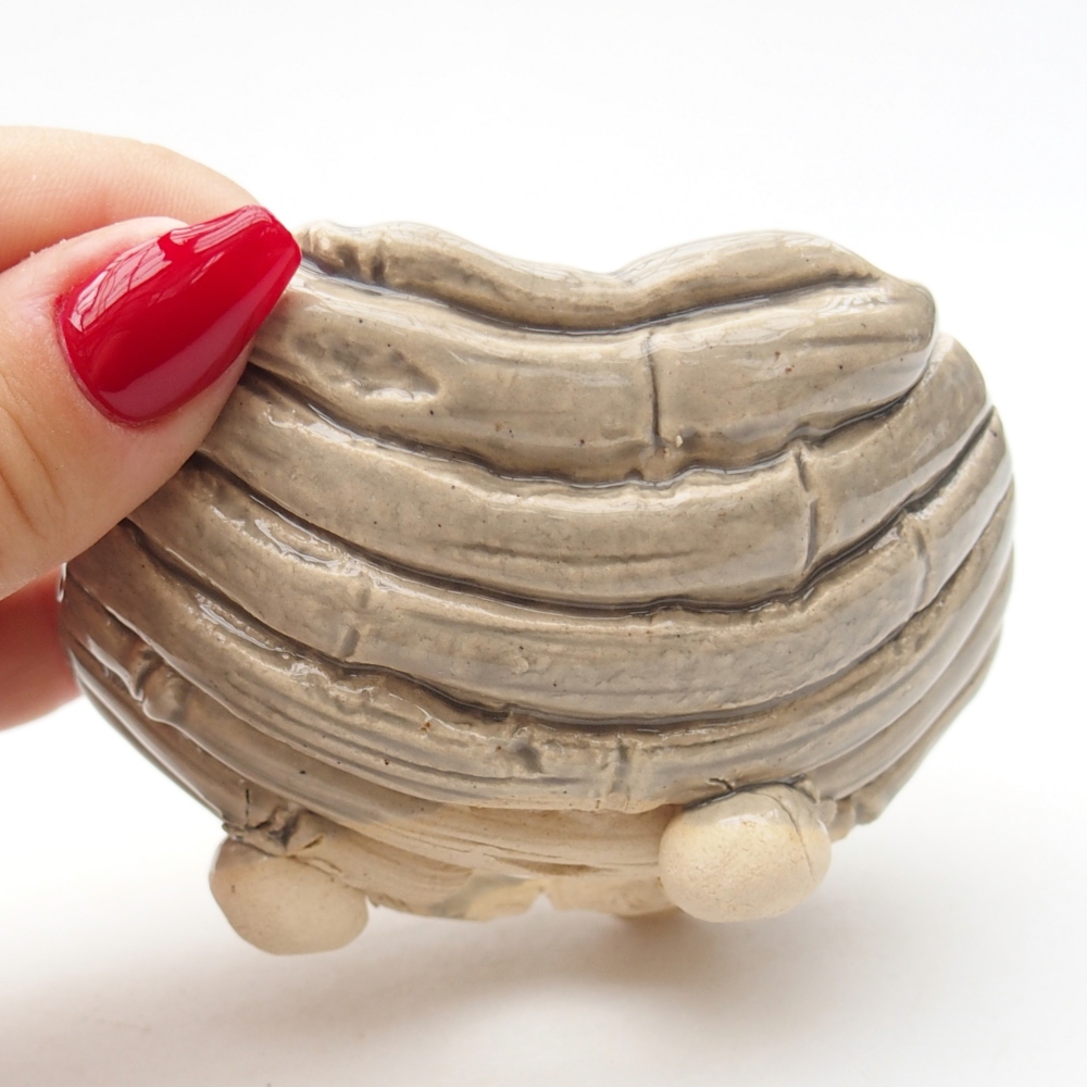 Ceramiczna muszla 8,5 x 8,5 x 6 cm, kolor beżowy