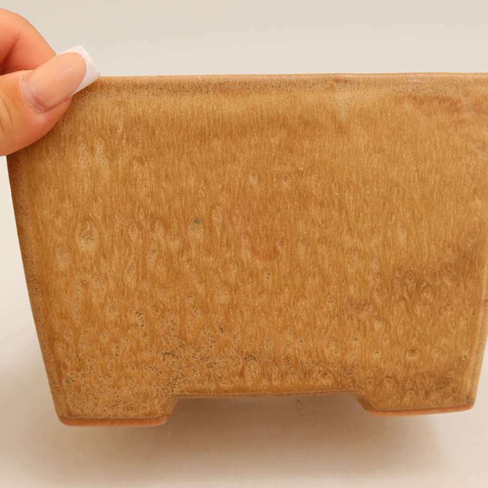 Ceramiczna miska do bonsai 15 x 15 x 10,5 cm, kolor beżowy